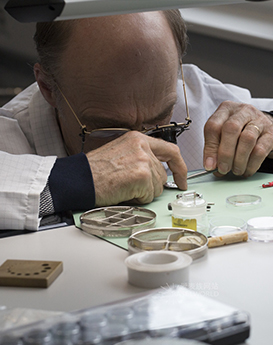 杰蘭·埃文斯-深圳理查德米勒維修服務(wù)中心制表師